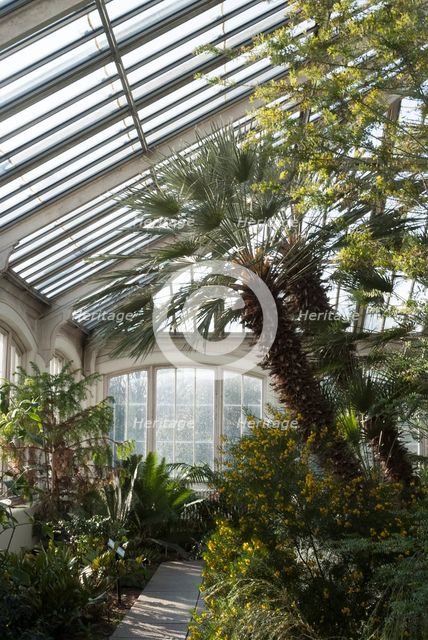 Kew Gardens, 2009. Creator: Ethel Davies.