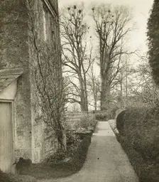 Kelmscott Manor: In the Garden, 1896. Creator: Frederick Henry Evans