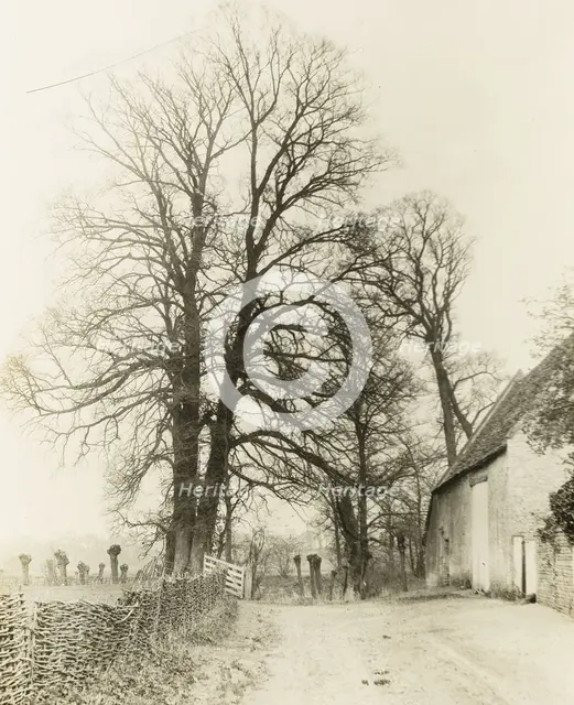 Kelmscott Manor: Road and Entrance, 1896. Creator: Frederick Henry Evans.