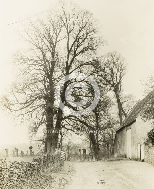 Kelmscott Manor: Road and Entrance, 1896. Creator: Frederick Henry Evans.