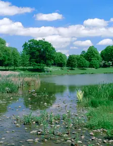 Kenilworth Abbey Fields, Warwickshire. Creator: Peter Thompson