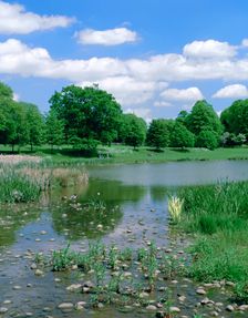 Kenilworth Abbey Fields, Warwickshire. Creator: Peter Thompson