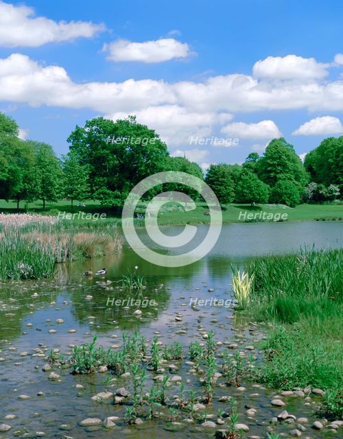 Kenilworth Abbey Fields, Warwickshire. Creator: Peter Thompson.