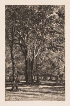 Kensington Gardens, No. 2 (The Larger Plate), 1860. Creator: Francis Seymour Haden (British, 1818-1910)