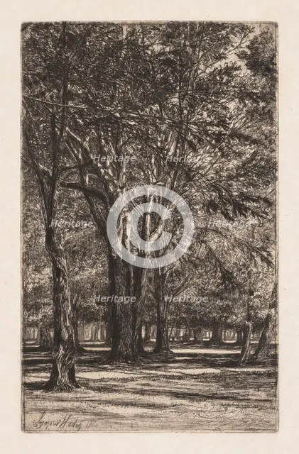Kensington Gardens, No. 2 (The Larger Plate), 1860. Creator: Francis Seymour Haden (British, 1818-1910).
