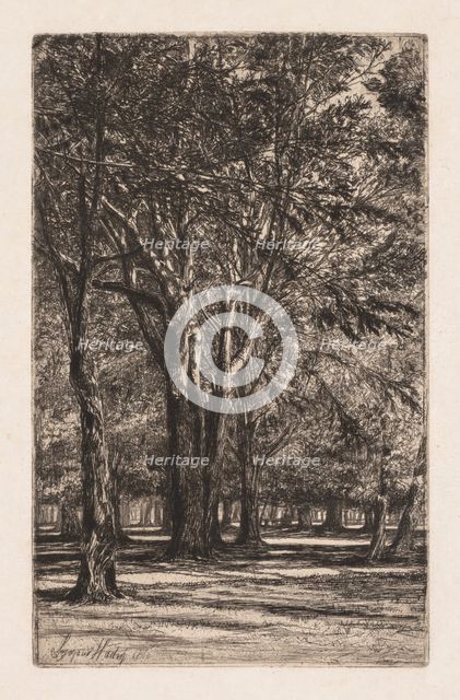 Kensington Gardens, No. 2 (The Larger Plate), 1860. Creator: Francis Seymour Haden (British, 1818-1910).