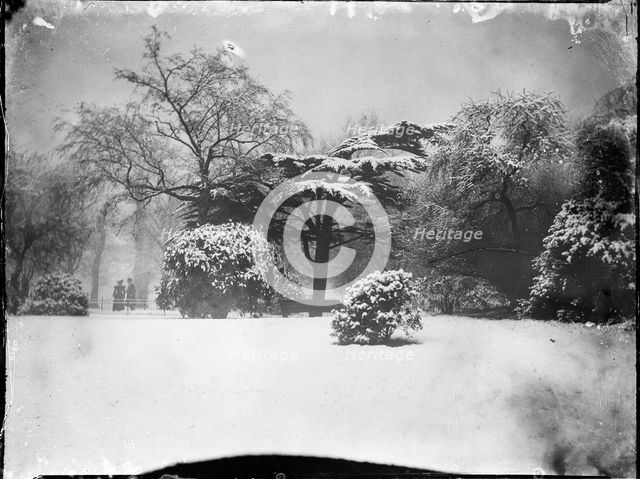 Kensington Gardens, Hyde Park, City of Westminster, London, 1905. Creator: Katherine Jean Macfee.
