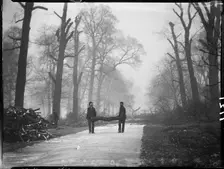 Kensington Gardens, Hyde Park, City of Westminster, London, 1907. Creator: Katherine Jean Macfee