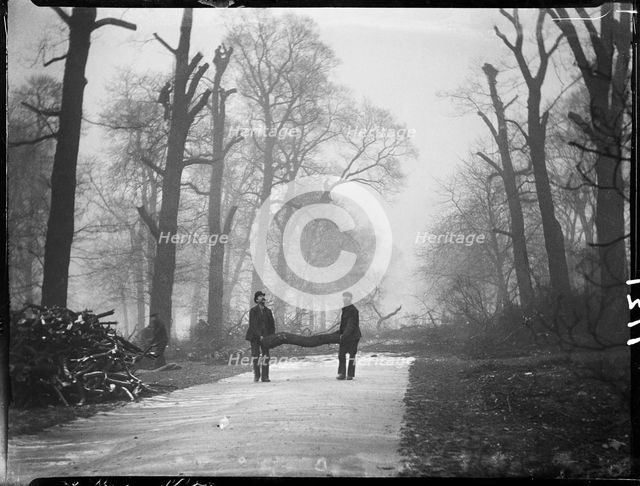 Kensington Gardens, Hyde Park, City of Westminster, London, 1907. Creator: Katherine Jean Macfee.