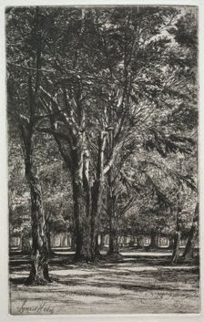 Kensington Gardens (The Large Plate), 1860. Creator: Francis Seymour Haden (British, 1818-1910)