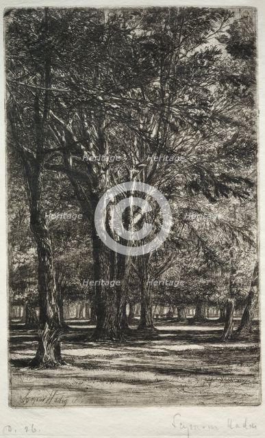 Kensington Gardens (The Larger Plate), 1860. Creator: Francis Seymour Haden (British, 1818-1910).