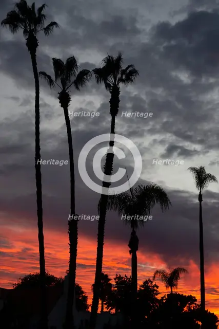 Kensington, San Diego, California, USA, 2022. Creator: Ethel Davies.