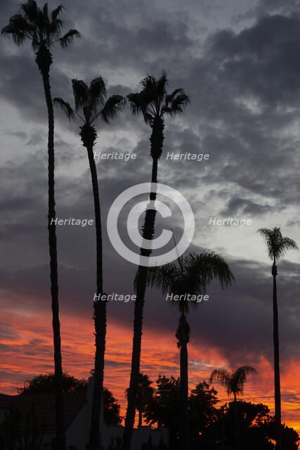 Kensington, San Diego, California, USA, 2022. Creator: Ethel Davies.