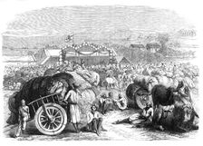 Khangaon Cotton Market, West Berar, India, 1870. Creator: Unknown