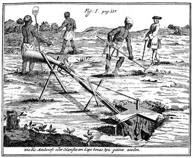 Khoikhois catching moles, South Africa, 18th century (1931). Artist: Unknown