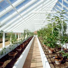 Kitchen garden, Audley End House and Gardens, Saffron Walden, Essex, c2000s(?)