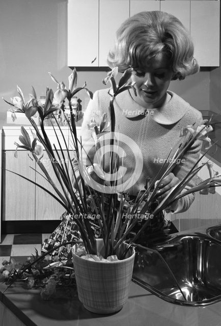 Kitchen scene, Warwick, Warwickshire, 1966. Creator: Michael Walters.