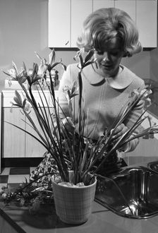 Kitchen scene, Warwick, Warwickshire, 1966. Creator: Michael Walters