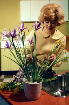 Kitchen scene, Warwick, Warwickshire, 1966. Creator: Michael Walters
