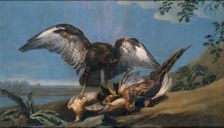 Kite with a Group of dead Birds, 1774. Creator: Jose del Castillo