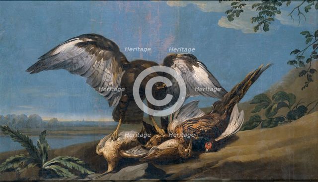 Kite with a Group of dead Birds, 1774. Creator: Jose del Castillo.