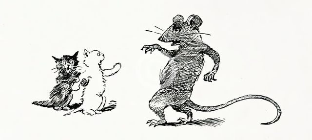Kittens and rat, 1894.  Creator: Unknown.