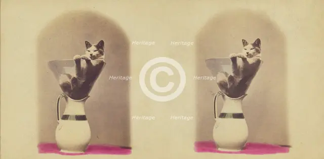 Kitty Series. Hoosac., 1871. Creator: John P. Soule.