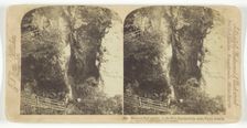 Kitzloch Fall in the Wild Ravine of the Ache, Tyrol, Austria, 1898. Creator: J F Jarvis