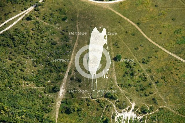 Kiwi Chalk Figure above Bulford Camp, Wiltshire, 2022. Creator: Damian Grady.