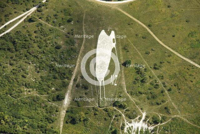 Kiwi Chalk Figure above Bulford Camp, Wiltshire, 2022. Creator: Damian Grady.