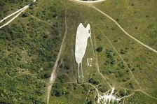 Kiwi Chalk Figure above Bulford Camp, Wiltshire, 2022. Creator: Damian Grady