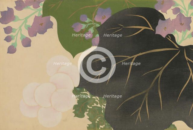 Kiku, Kiri (Chrysanthemum and Paulownia). From the series "A World of Things..., 1909-1910. Creator: Sekka, Kamisaka (1866-1942).