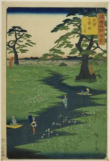 Kikyo Plain, Shinshu Province (Shinshu Kikyogahara) from the series "One Hundred Famous Vi..., 1860. Creator: Utagawa Hiroshige II