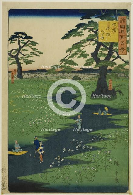 Kikyo Plain, Shinshu Province (Shinshu Kikyogahara) from the series "One Hundred Famous Vi..., 1860. Creator: Utagawa Hiroshige II.