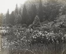 "Killenworth," George Dupont Pratt house, Glen Cove, New York, c1918. Creator: Frances Benjamin Johnston