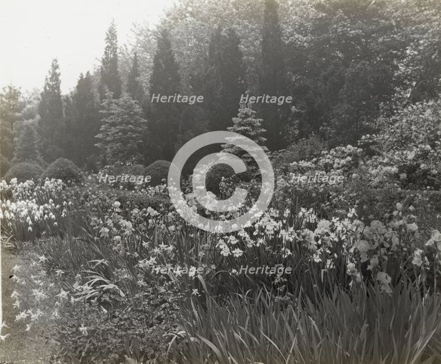 "Killenworth," George Dupont Pratt house, Glen Cove, New York, c1918. Creator: Frances Benjamin Johnston.