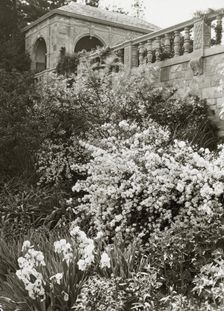"Killenworth," George Dupont Pratt house, Glen Cove, New York, c1918. Creator: Frances Benjamin Johnston