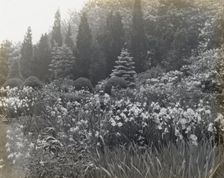 "Killenworth," George Dupont Pratt house, Glen Cove, New York, c1918. Creator: Frances Benjamin Johnston