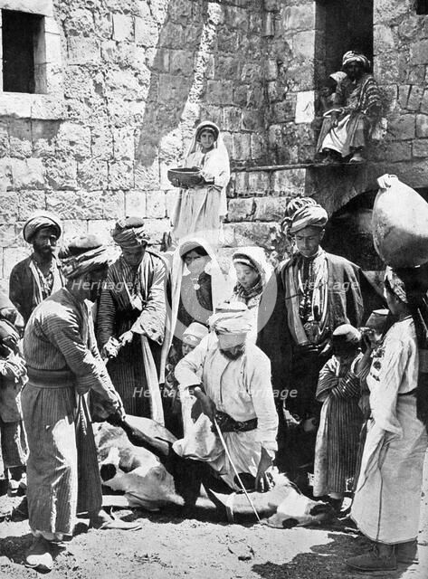 Killing the fatted calf.Artist: Underwood & Underwood