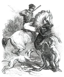 Killing a "Boomer", 1850. Creator: Unknown