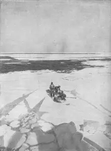 Killing Seals 1911, (1928)