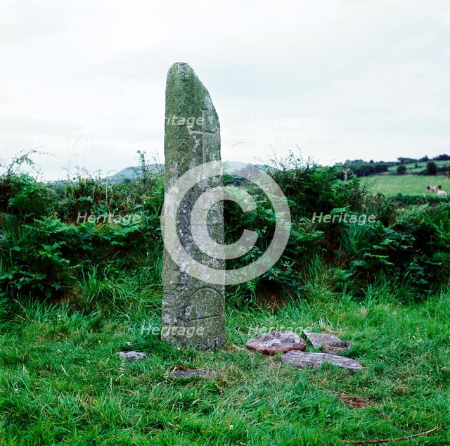 Kilnasaggart Cross Pillar, Armagh, Ireland, c714. Artist: Unknown
