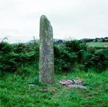 Kilnasaggart Cross Pillar, Armagh, Ireland, c714