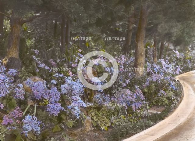 "Kimberly Crest," John Alfred Kimberly house, 1325 Prospect Drive, Redlands, California, 1917. Creator: Frances Benjamin Johnston.