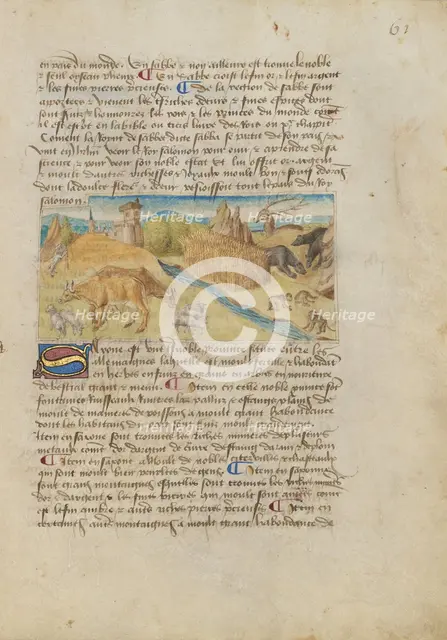 Kingdom of Saxony; Livre des merveilles du monde (Book of the Marvels of the World), about 1460-1465 Creator: Master of the Geneva Boccaccio.