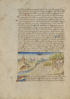 Kingdom of Sheba; Livre des merveilles du monde (Book of the Marvels of the World), about 1460-1465. Creator: Master of the Geneva Boccaccio