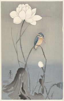 Kingfisher with Lotus Flower. Creator: Ohara, Koson (1877-1945)
