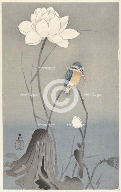 Kingfisher with Lotus Flower. Creator: Ohara, Koson (1877-1945).
