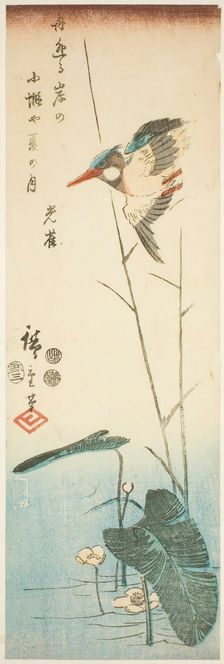 Kingfisher above a Yellow-flowered Water Plant, 1853, third month. Creator: Ando Hiroshige
