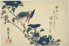 Kingfisher and bellflowers, n.d. Creator: Ando Hiroshige